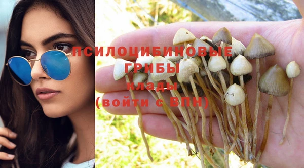 молекула духа Алексеевка