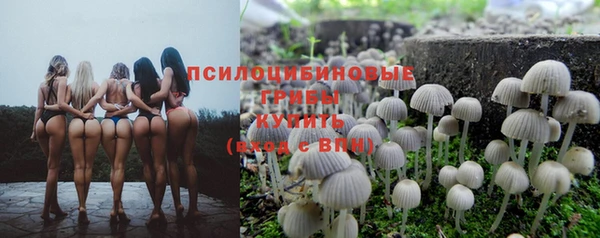мдпв Абдулино