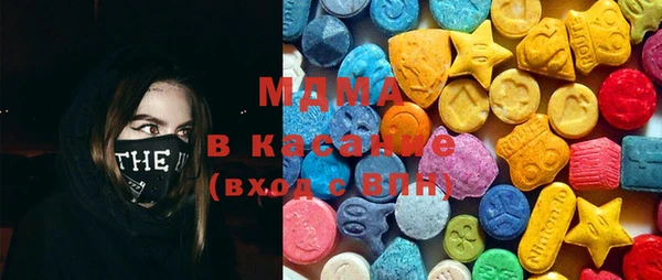 индика Алексин