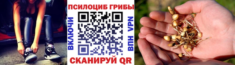 Псилоцибиновые грибы мухоморы  Канск 